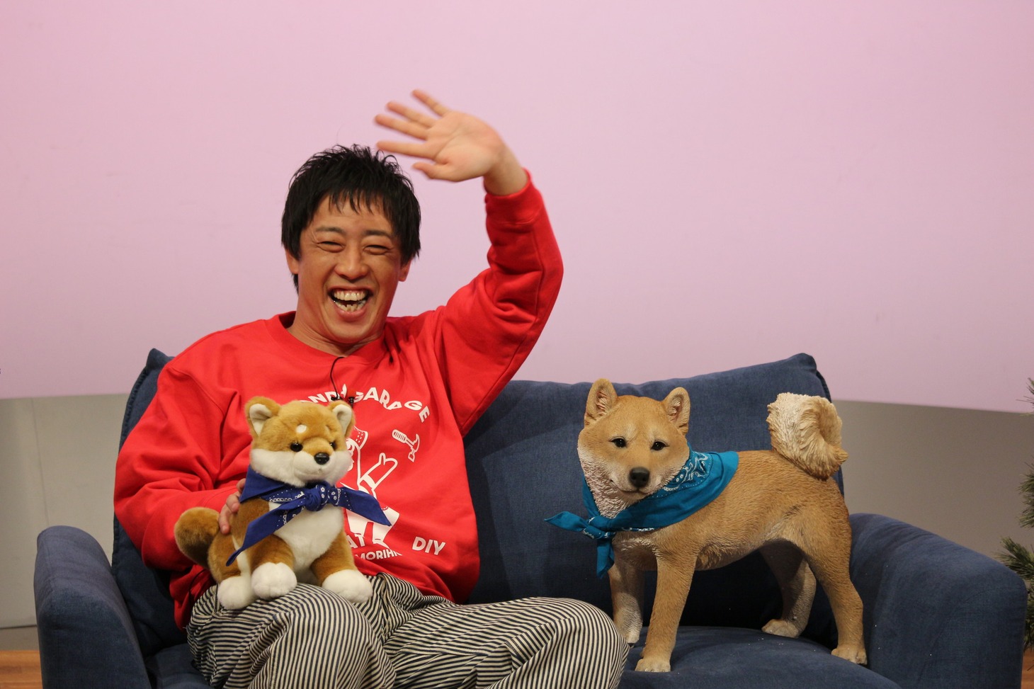 「森田と犬 SP」より。(c)静岡朝日テレビ