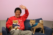 「森田と犬 SP」より。(c)静岡朝日テレビ