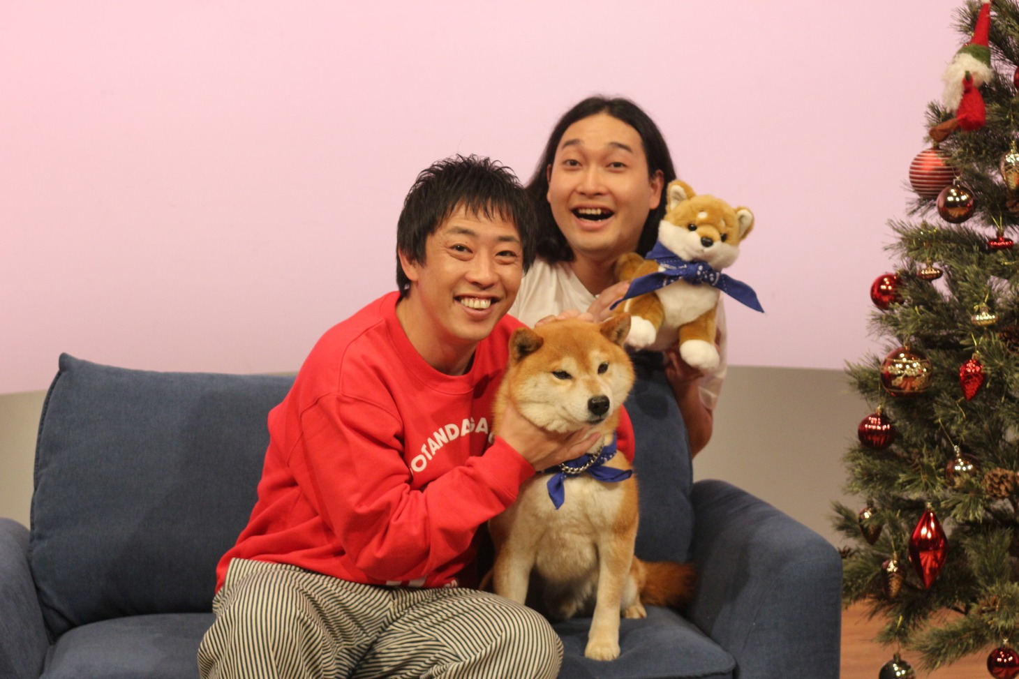 「森田と犬 SP」より。(c)静岡朝日テレビ