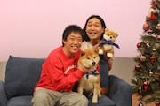 「森田と犬 SP」より。(c)静岡朝日テレビ