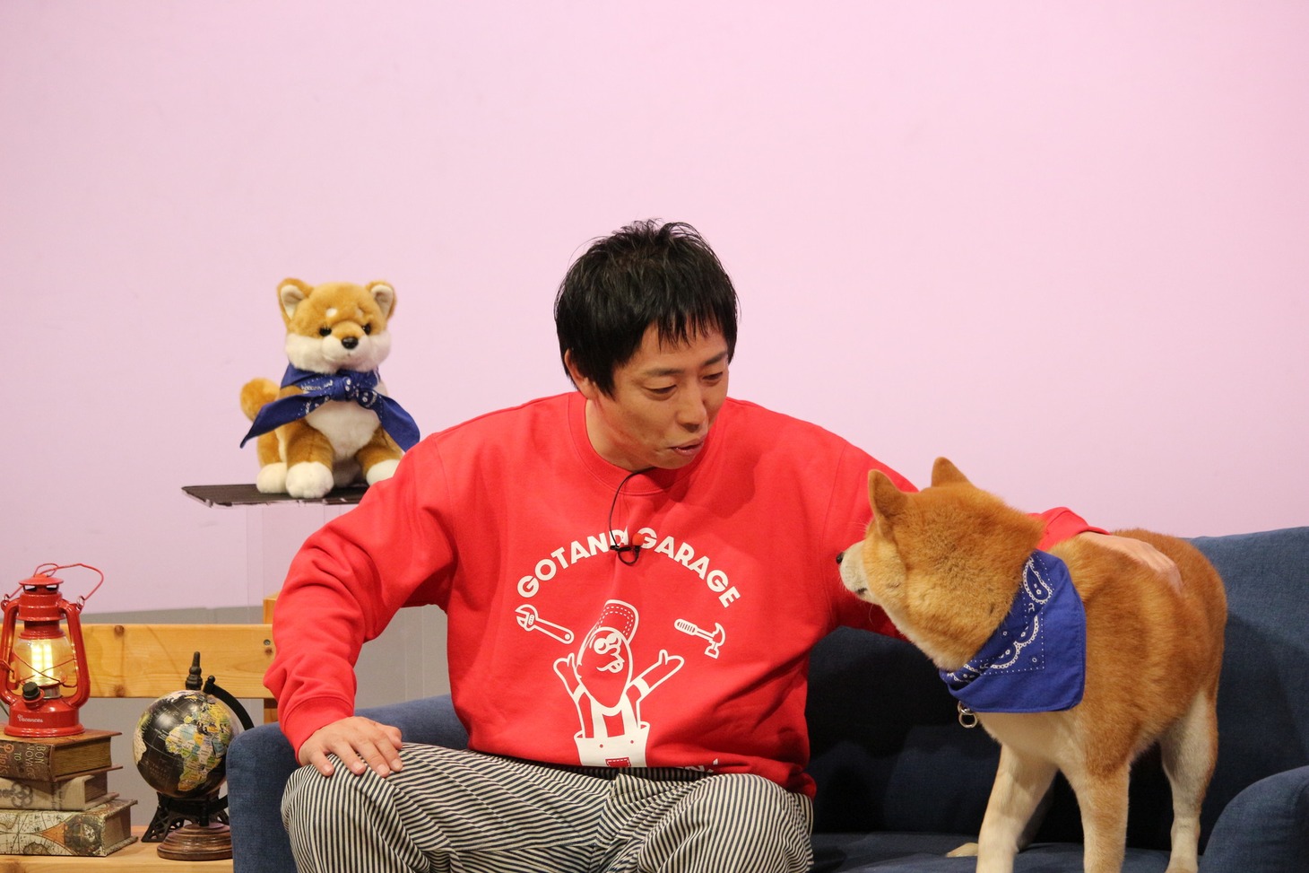 「森田と犬 SP」より。(c)静岡朝日テレビ