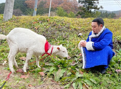 ヤギと大悟。(c)テレビ東京