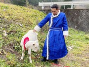 ヤギと大悟。(c)テレビ東京