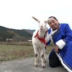 テレ東「ヤギと大悟」がギャラクシー賞月間賞、「とにかく癒やされた」