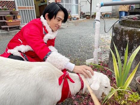 ヤギとゲストの三宅健。(c)テレビ東京