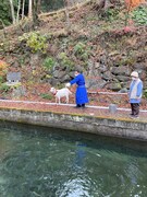 釣りをするヤギと大悟。(c)テレビ東京