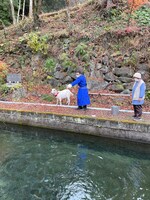 釣りをするヤギと大悟。(c)テレビ東京