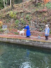 釣りをするヤギと大悟。(c)テレビ東京