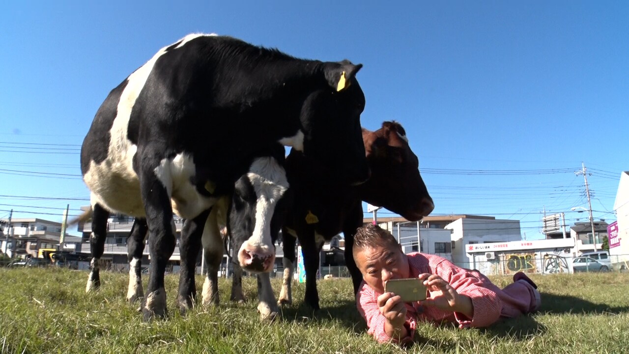 出川哲朗が実験的な牧場ロケ、収録済ナレーション通りにできるのか