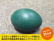 「#基山のハツタイケン写真投稿キャンペーン」イメージ