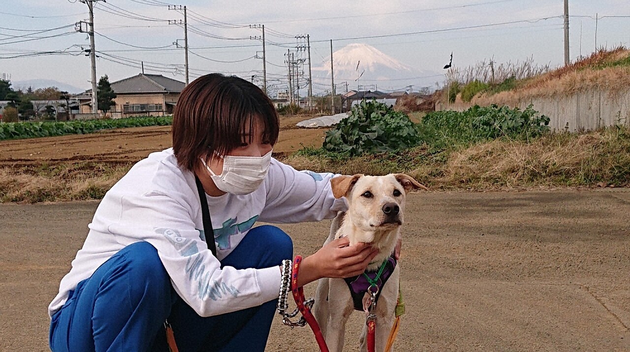 ガンバレルーヤ「みんなのどうぶつ園」で動物保護施設へ、犬たちと触れ合う