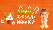 「じゃらん」のWebCMより。