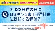 Twitter企画「全国ねこ統一テスト」