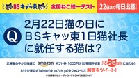 Twitter企画「全国ねこ統一テスト」