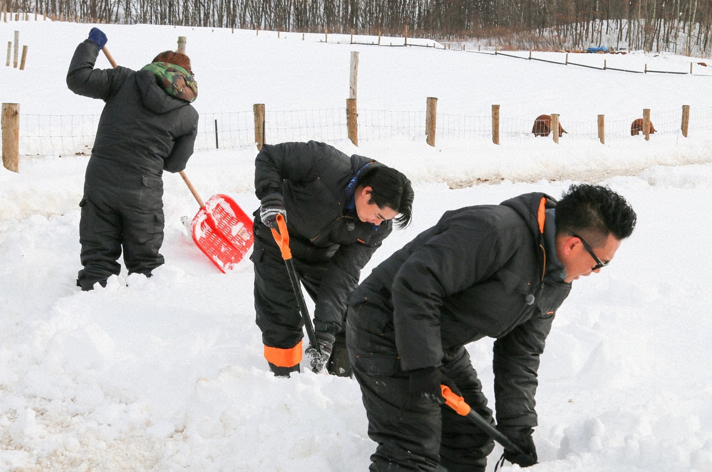 「満天☆青空レストラン」のワンシーン。(c)日本テレビ