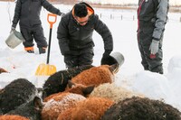 「満天☆青空レストラン」のワンシーン。(c)日本テレビ