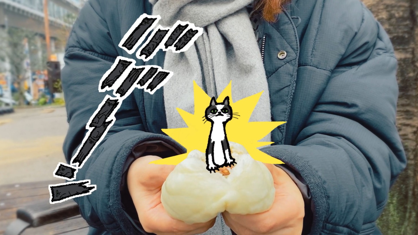 「『ねこいる！』からの挑戦状『ねこなんびきいる？』」の動画より。