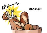 田中光の絵本「ねこいる！」より。