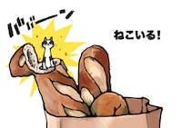 田中光の絵本「ねこいる！」より。