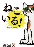 田中光の絵本「ねこいる！」の表紙。