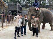 ジャングルポケット＆阿佐ヶ谷姉妹、ゾウや犬に関する疑問を調査