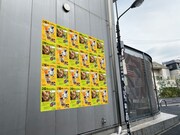 「ねこねこキャップ」が掲出されている様子。