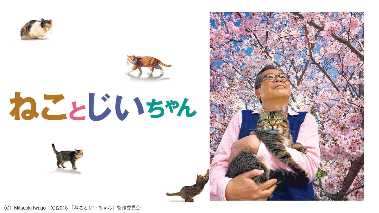 「ねことじいちゃん」(c)Mitsuaki Iwago (c)2018 「ねことじいちゃん」製作委員会