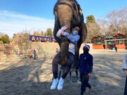 「アニマルリスペクトTV 動物さまの言うとおり」より。(c)テレビ静岡