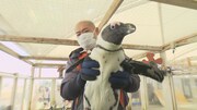 「アニマルリスペクトTV 動物さまの言うとおり」より。(c)テレビ静岡