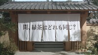新CM「伊右衛門の会 緑茶はどれも同じ？」編より。