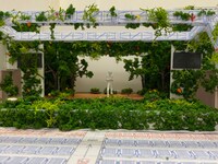 「東京森林浴」「大自然トークライブ『焚火』」の会場イメージ。