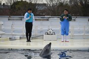 京都水族館の開業10周年記念イベントの様子。