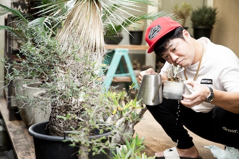 「佐田のホビー」より。