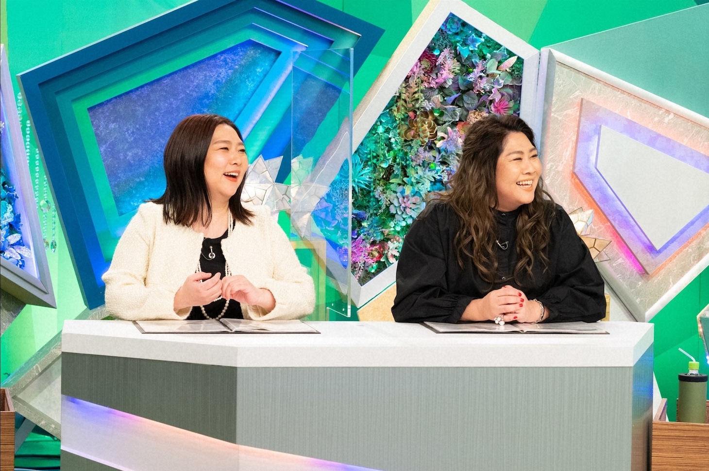 海原やすよ ともこ (c)ABCテレビ