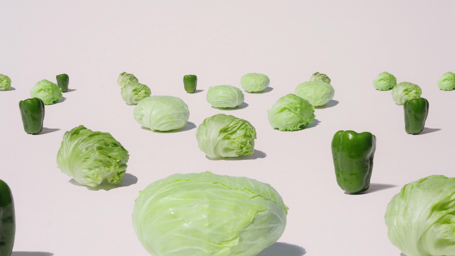CM「ダイショーパリ麺サラダ野菜から、やーっ！」編より。
