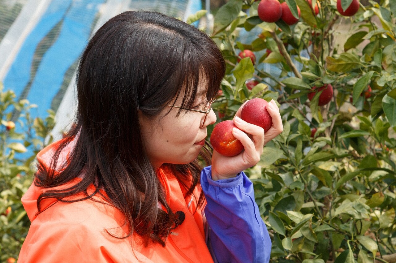 相席スタートがブラッドオレンジ三昧、ケイ「初恋より甘い」
