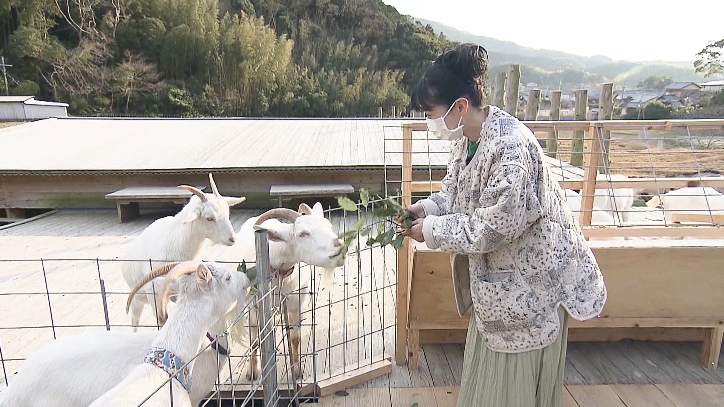 西村知美 (c)ABCテレビ