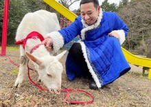 「ヤギと大悟」