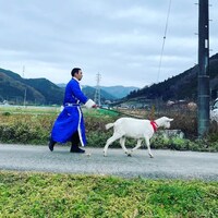 「ヤギと大悟」