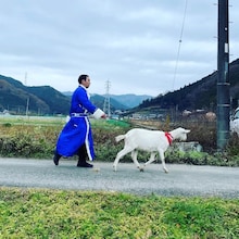 「ヤギと大悟」