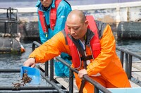 「満天☆青空レストラン」のワンシーン。(c)日本テレビ