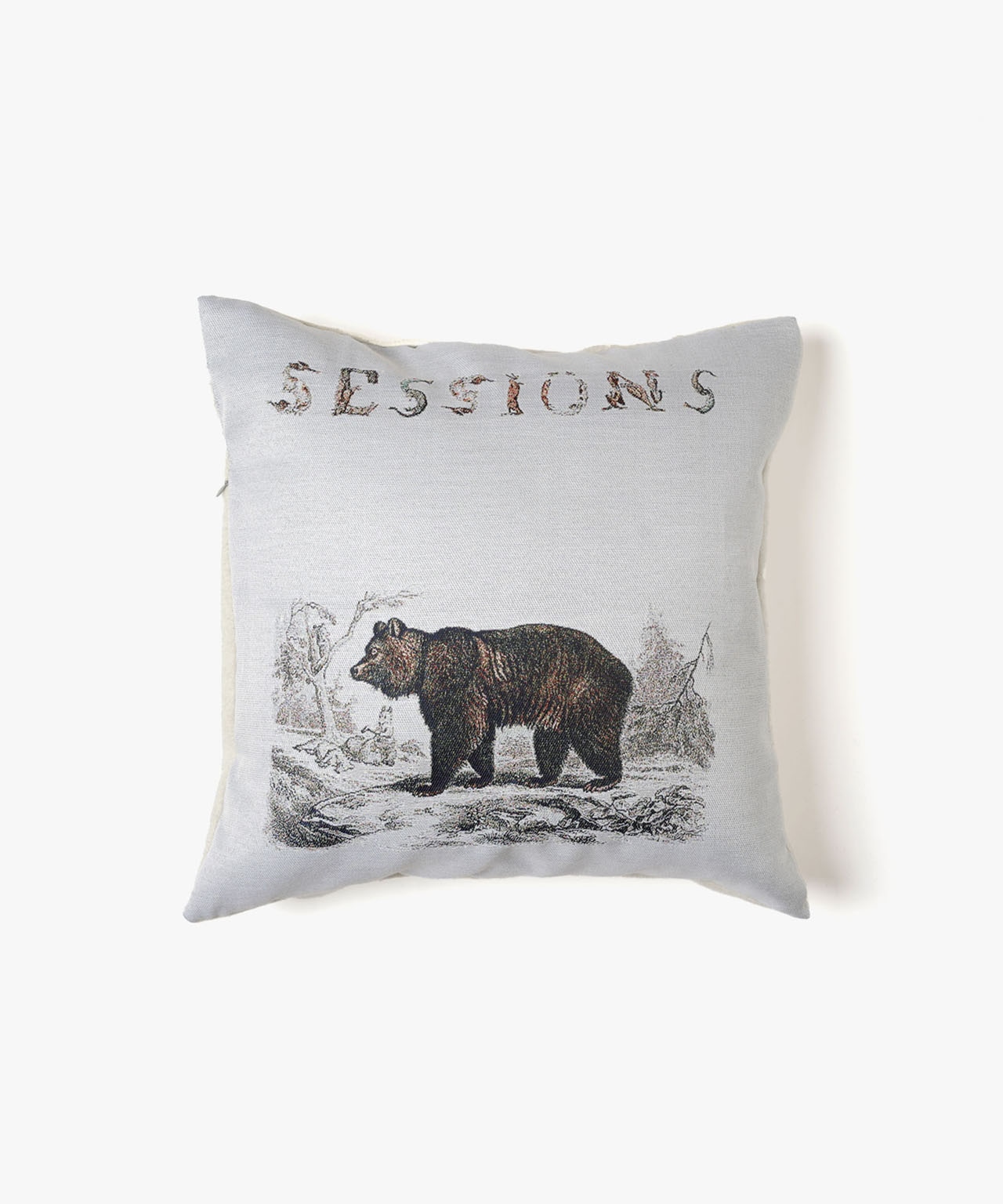CUSHIONS