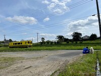 電車を眺めるヤギのポポと千鳥・大悟。(c)テレビ東京