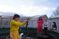 「世界の果てまでイッテQ！」のワンシーン。(c)日本テレビ