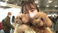 ペットイベント「インターペット2022」を取材する森千晴。