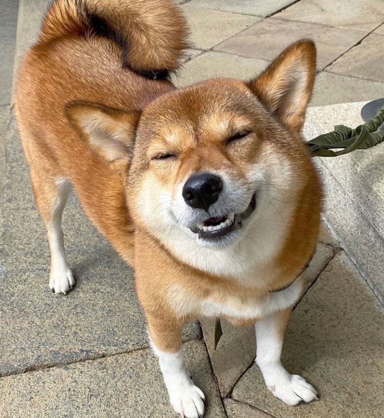 三九ちゃん