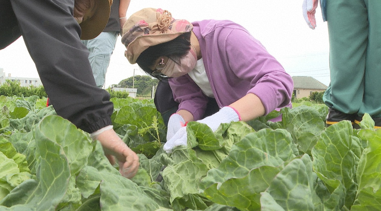 「遠くへ行きたい」より。(c)読売テレビ