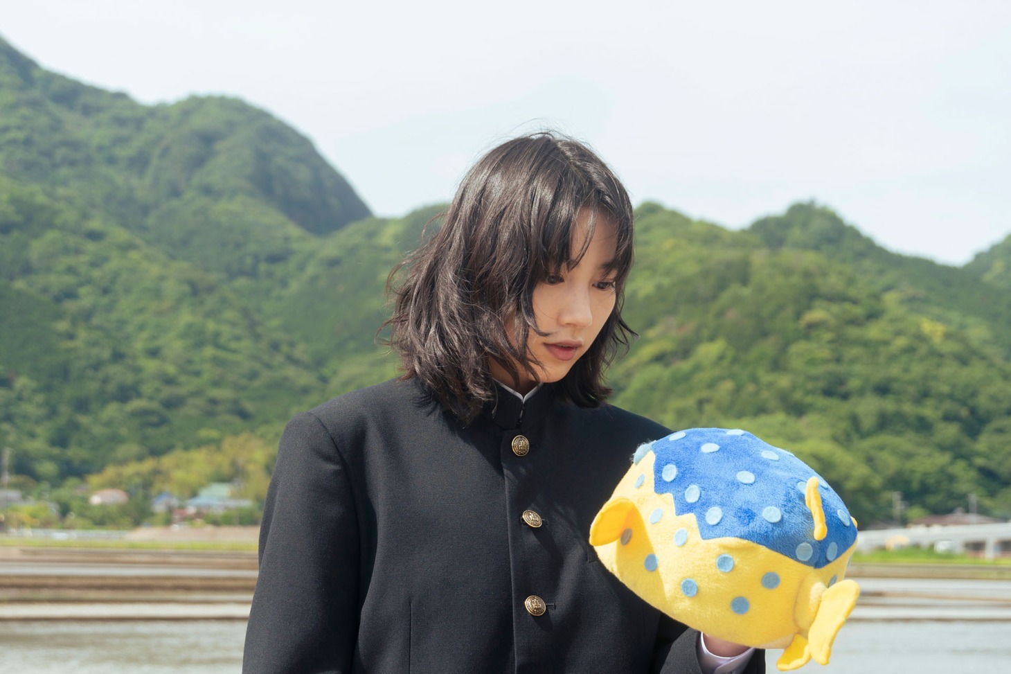 「さかなのこ」より。