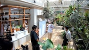 新作コント作りのため、空気階段が園芸店で取材をするワンシーン。(c)テレビ朝日