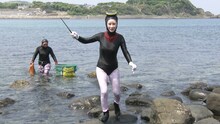 海女の体験をするダレノガレ明美。(c)ABCテレビ